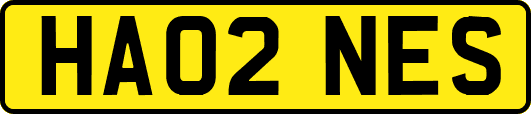 HA02NES