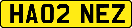 HA02NEZ