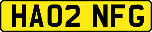 HA02NFG