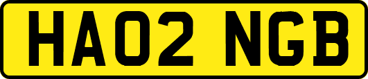 HA02NGB