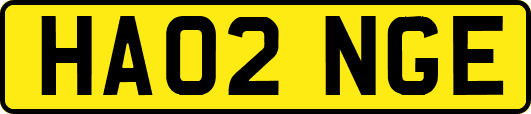 HA02NGE