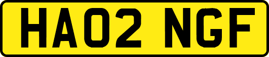 HA02NGF