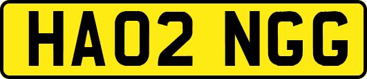 HA02NGG