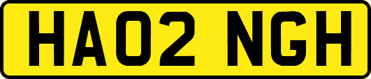 HA02NGH