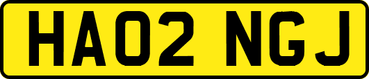 HA02NGJ
