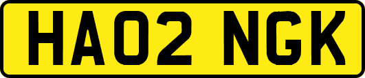 HA02NGK