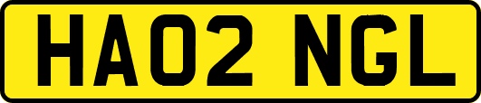 HA02NGL