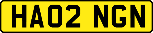 HA02NGN