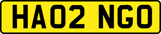 HA02NGO