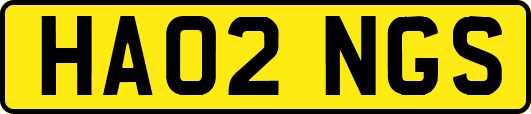 HA02NGS