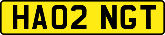 HA02NGT