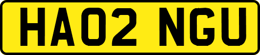 HA02NGU