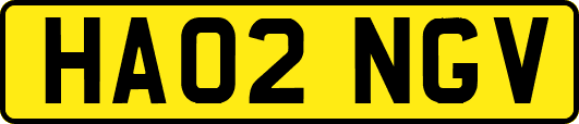 HA02NGV