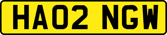 HA02NGW
