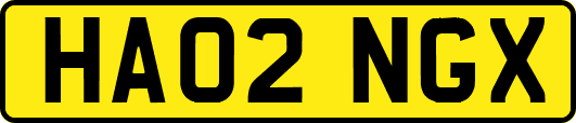 HA02NGX
