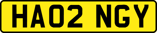 HA02NGY