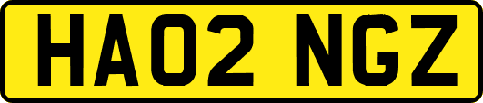 HA02NGZ