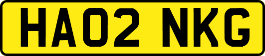 HA02NKG