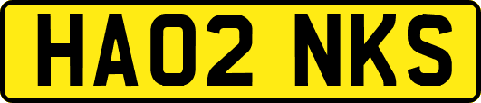 HA02NKS