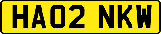 HA02NKW