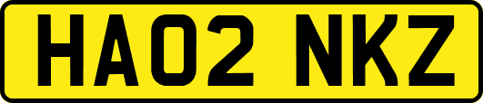 HA02NKZ