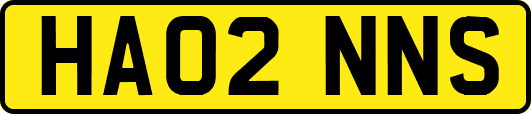 HA02NNS