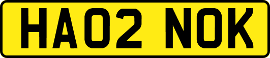 HA02NOK