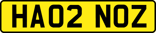 HA02NOZ