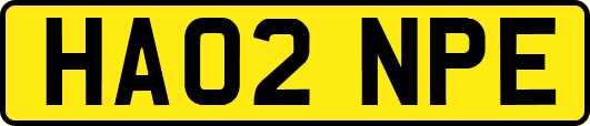 HA02NPE