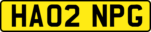 HA02NPG