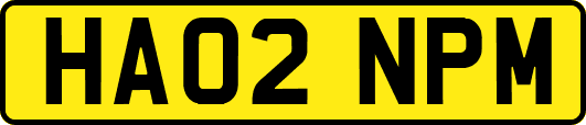 HA02NPM