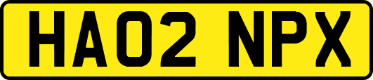 HA02NPX