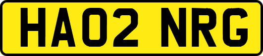 HA02NRG
