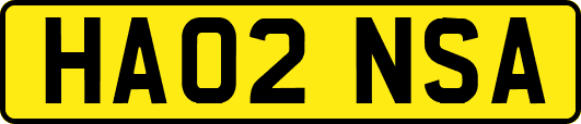 HA02NSA