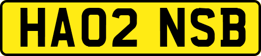 HA02NSB