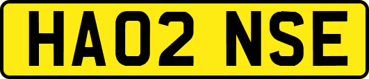 HA02NSE
