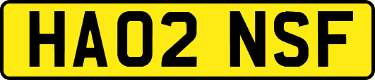 HA02NSF