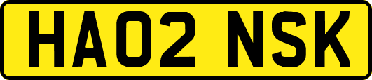 HA02NSK