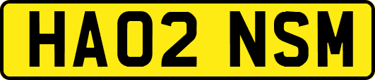 HA02NSM