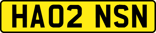 HA02NSN