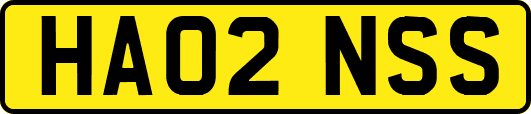HA02NSS