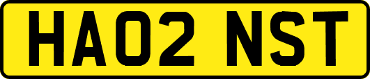 HA02NST