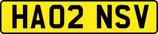 HA02NSV