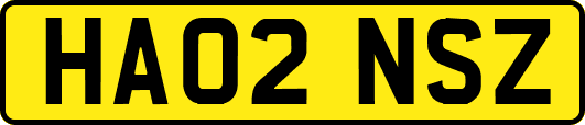 HA02NSZ