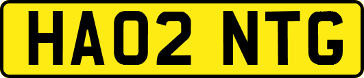 HA02NTG