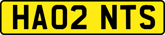 HA02NTS