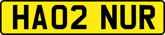 HA02NUR