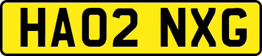 HA02NXG