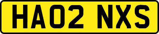 HA02NXS