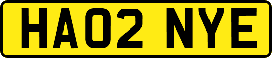 HA02NYE